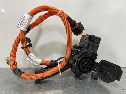 Kabelbaum 296954590r - 296954590r,