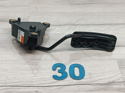 Gaspedal renault kangoo - gaspedal,